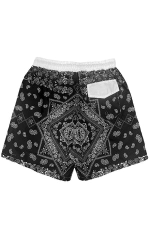 
                  
                    Load image into Gallery viewer, Paisley Print Swim Shorts
                  
                