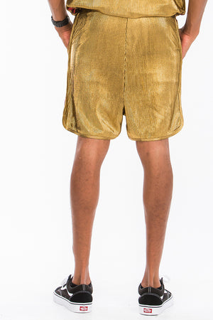 
                  
                    Load image into Gallery viewer, Metallic Boxer Shorts
                  
                